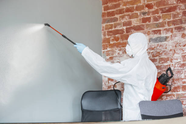 Best Biohazard Mold Removal  in Gaylord, MN