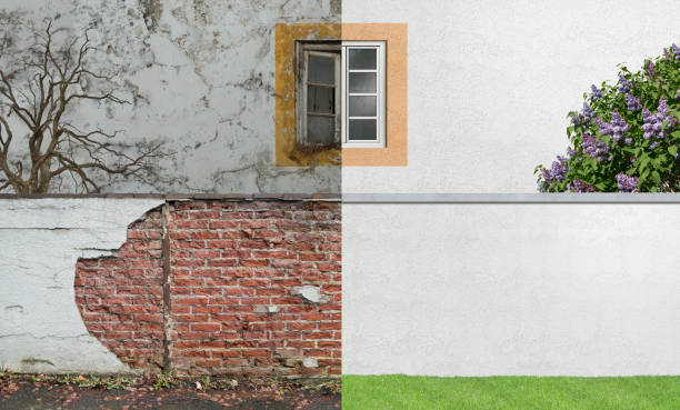  Gaylord, MN Mold Removal Pros