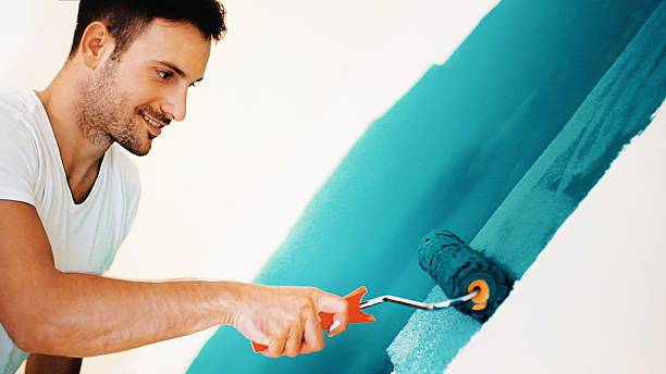 Reliable Gaylord, MN Mold Removal Solutions