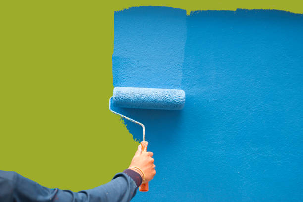 Best Mold Removal for HVAC Installations  in Gaylord, MN